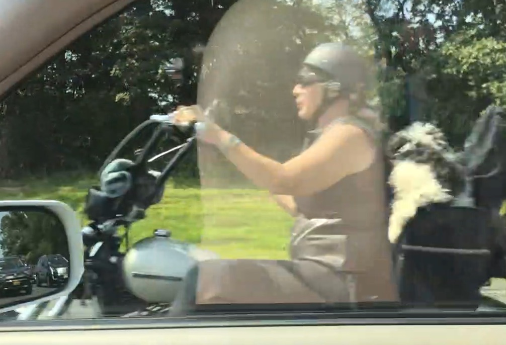 NY motorcyclist carries dog down garden state parkway
