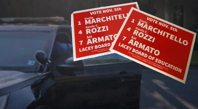 rozzi for lacey boe sign theft