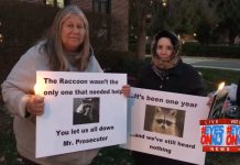 Lacey Raccoon Vigil Held in Toms River NJ