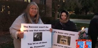 Lacey Raccoon Vigil Held in Toms River NJ
