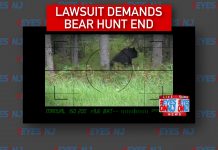 lawsuit-bear-hunt-nj-dep