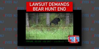 lawsuit-bear-hunt-nj-dep